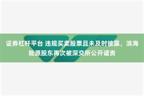 证券杠杆平台 违规买卖股票且未及时披露，滨海能源股东再次被深交所公开谴责