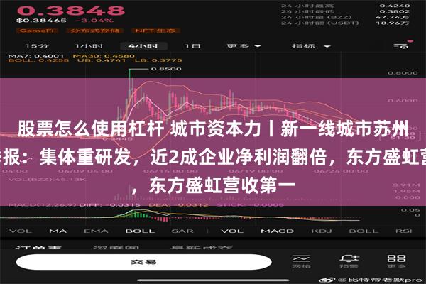 股票怎么使用杠杆 城市资本力丨新一线城市苏州A股一季报：集体重研发，近2成企业净利润翻倍，东方盛虹营收第一