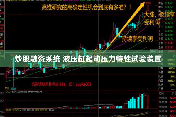 炒股融资系统 液压缸起动压力特性试验装置