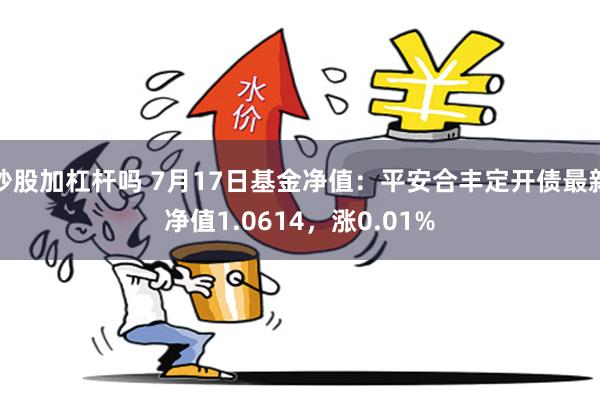 炒股加杠杆吗 7月17日基金净值：平安合丰定开债最新净值1.0614，涨0.01%