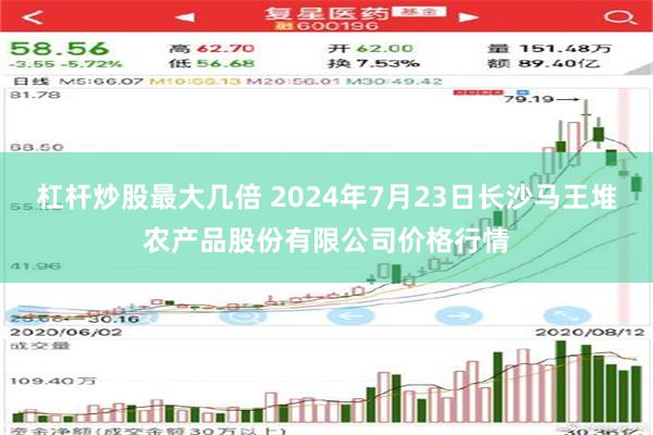 杠杆炒股最大几倍 2024年7月23日长沙马王堆农产品股份有限公司价格行情