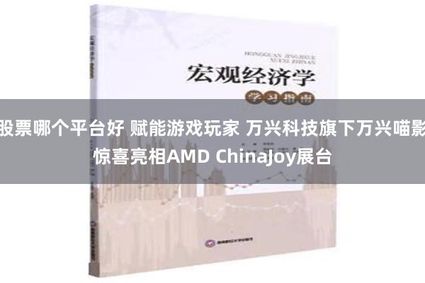 股票哪个平台好 赋能游戏玩家 万兴科技旗下万兴喵影惊喜亮相AMD ChinaJoy展台