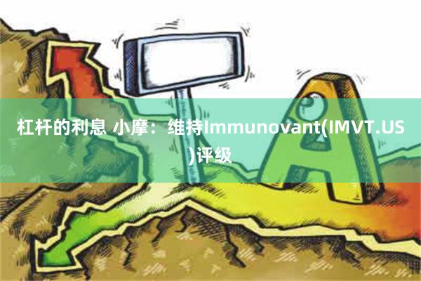 杠杆的利息 小摩：维持Immunovant(IMVT.US)评级