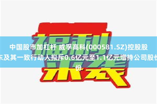 中国股市加杠杆 威孚高科(000581.SZ)控股股东及其一致行动人拟斥0.6亿元至1.1亿元增持公司股份