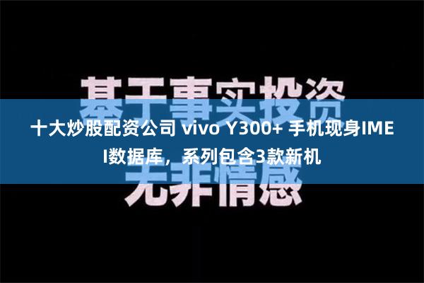 十大炒股配资公司 vivo Y300+ 手机现身IMEI数据库，系列包含3款新机