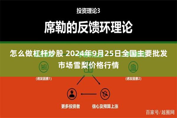 怎么做杠杆炒股 2024年9月25日全国主要批发市场雪梨价格行情