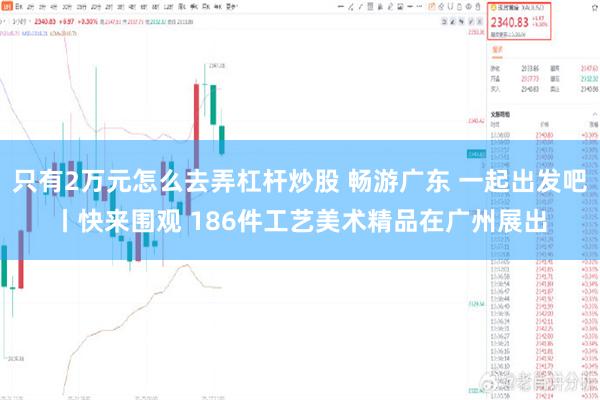 只有2万元怎么去弄杠杆炒股 畅游广东 一起出发吧丨快来围观 186件工艺美术精品在广州展出