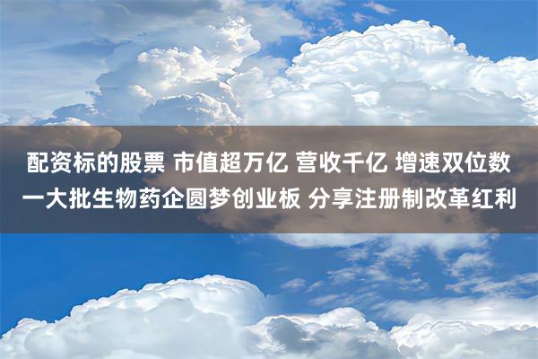 配资标的股票 市值超万亿 营收千亿 增速双位数一大批生物药企圆梦创业板 分享注册制改革红利