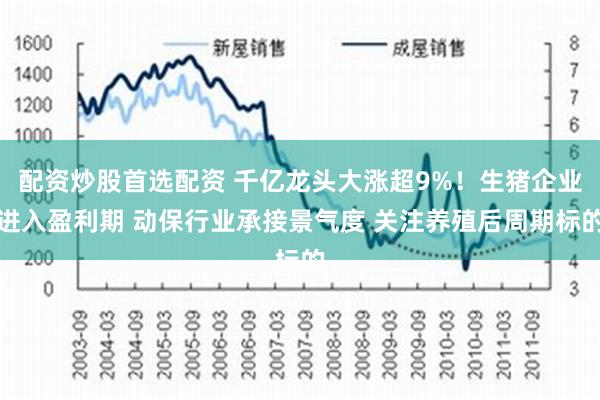 配资炒股首选配资 千亿龙头大涨超9%！生猪企业进入盈利期 动保行业承接景气度 关注养殖后周期标的