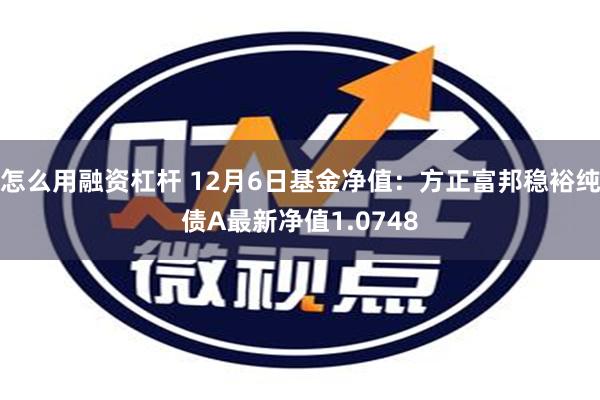 怎么用融资杠杆 12月6日基金净值：方正富邦稳裕纯债A最新净值1.0748