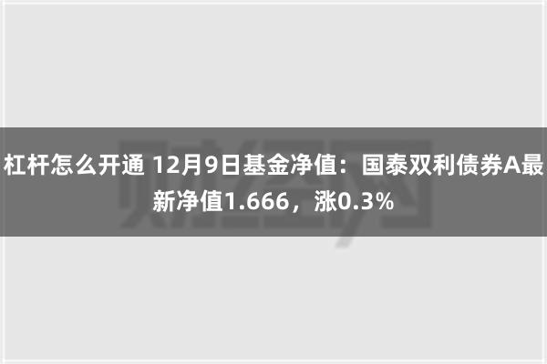 杠杆怎么开通 12月9日基金净值：国泰双利债券A最新净值1.666，涨0.3%